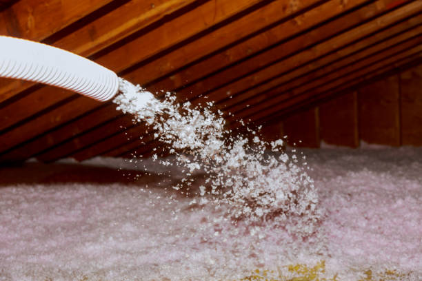 Best Insulation Maintenance and Repair in Bishopville, SC