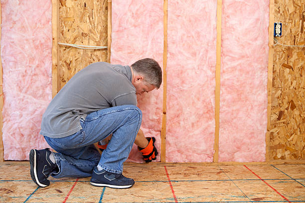 Best Cellulose Insulation in Bishopville, SC