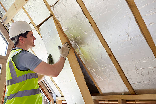 Best Geographic-Specific Insulation Services in Bishopville, SC